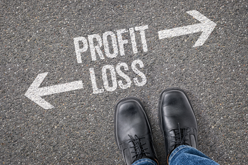 Profit and Loss Statements Explained